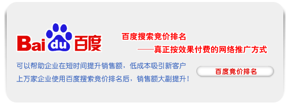 百度搜索竞价排名